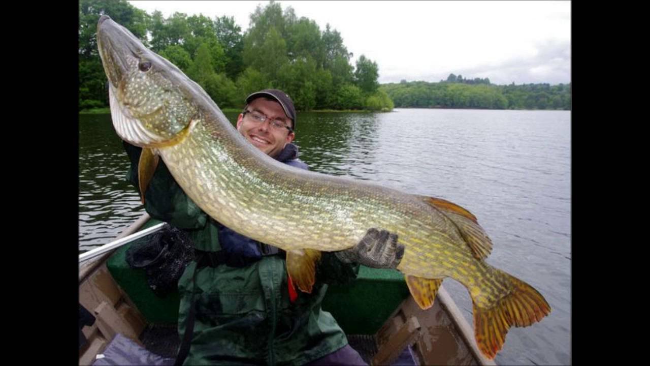 top 10 brochet record de france YouTube