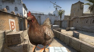 The Best/Worst CS:GO Video You