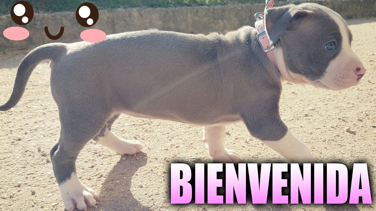 paty do alferes UN NUEVO BEBE LLEGO A CASA!!!