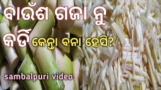 କର୍ଡି Bamboo Shoot Making How To Make Bamboo Shoot 