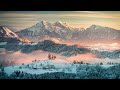 小林 旭 - 乾いた花びら
