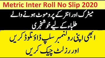 Download Roll No Slip For Result 2020 | Metric, Inter 10th, 12th Promotion Result Roll No Slip 2020