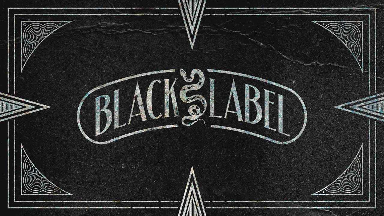 Midnight Tyrannosaurus & Subtronics - Revenge Of The Goldfish skrillex just dance