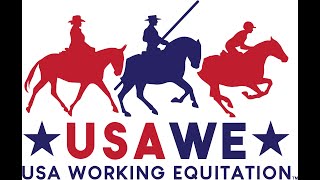 USAWE Advanced Level EOH, June 2021. Emily Gill and Coulee Bend Kahlua, Morgan horse.