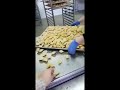 Soğuksan-Konveyörlü Fritöz (Conveyor Fryer) / SAMOZA