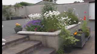 Belfast Castlereagh hills Garden Walk Round and Rant Tuesday 16 June 2026
