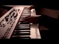 ★STAR GUiTAR「Rise in revolt feat. MELTEN (JABBERLOOP, fox capture plan)」Music Video