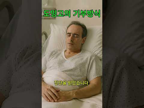 도밍고와 카레로스의 우정
