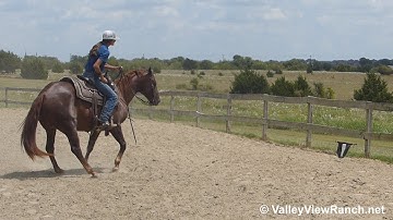 Attitudes Desire - working the flag! - ValleyViewRanch.net