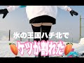 凍りついたハチ北を4000m爆速で滑ってたらお尻が割れたよ鉢音さん！スノーボードが楽しすぎる動画
