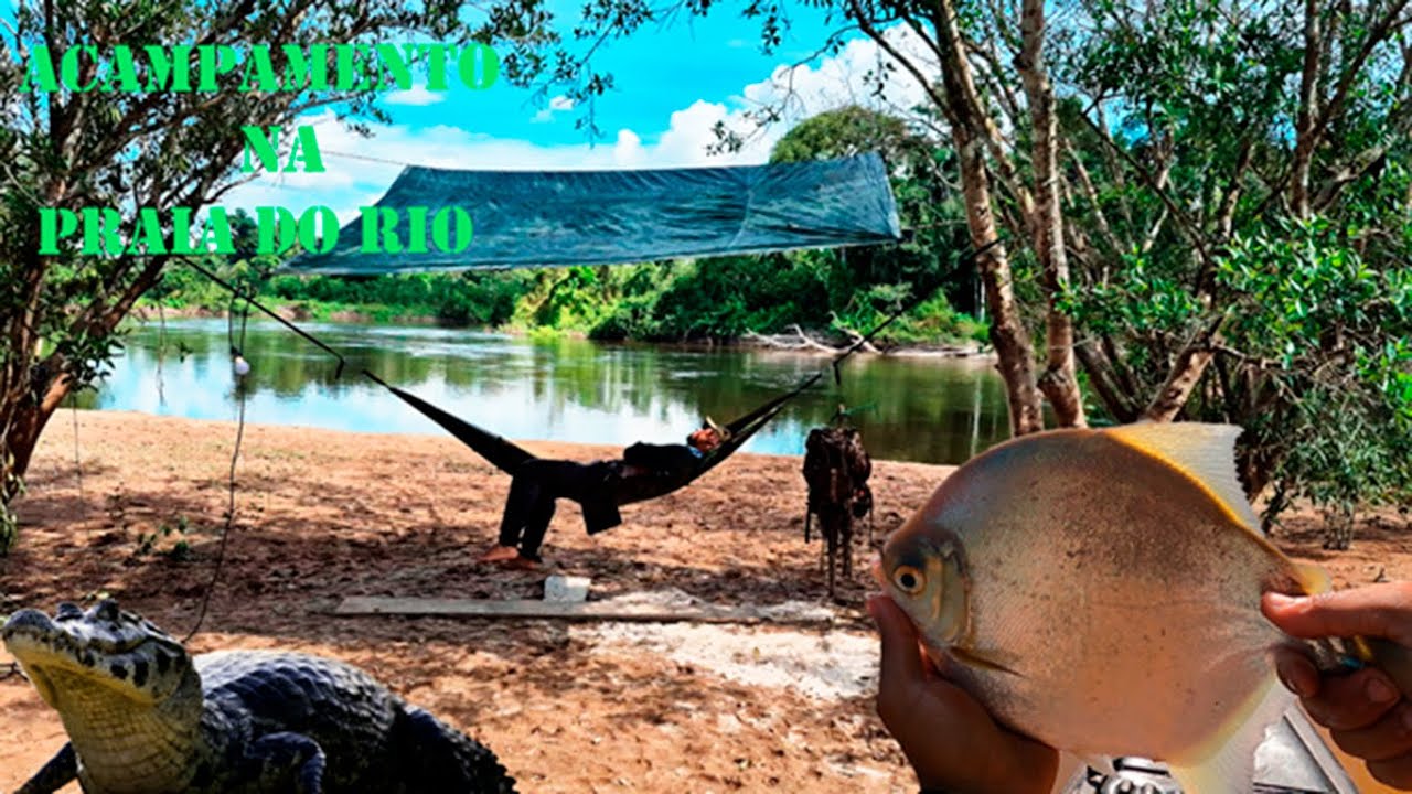 Acampamento sozinho na Praia! Rio Braço Norte, Pescaria de Pacu na fruta.