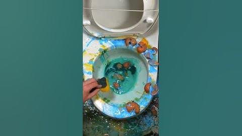 Do NOT try this on your toilet! 🚽⚠️