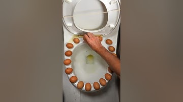 Do NOT try this on your toilet! 🚽⚠️