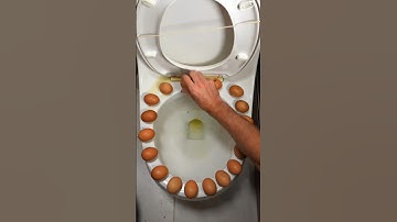 Do NOT try this on your toilet! 🚽⚠️