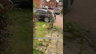 This homeless man became the gardener | Reaction World Shorts