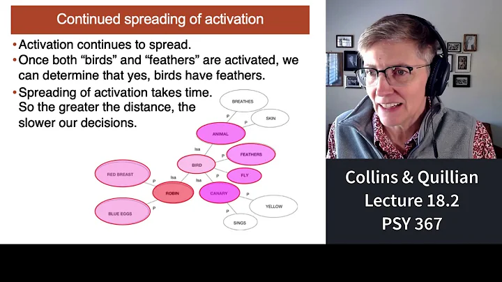 367 Lecture 18.2 Collins & Quillian's Model of Sem...