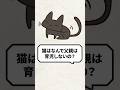 Q：猫はなんで父親は育児しないの？ #猫 #保護猫 #野良猫 #ねこ