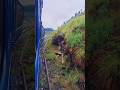 mountain railways #udagamandalam#
