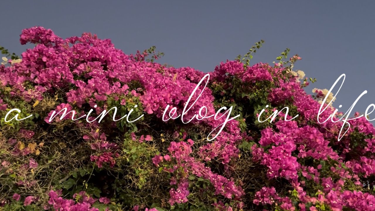 mini vlog in life.