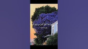 اجر لي ولـكم 🫂🌷#كلير_تحبكم#اكسبلور#قران_كريم#راحة_نفسية#سورة_لقمان#محمد_صديق_المنشاوي#لايك