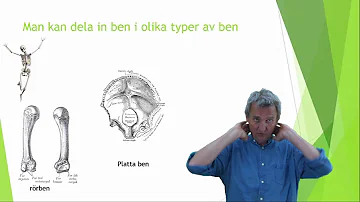 Vad är benvävnad uppbyggt av?