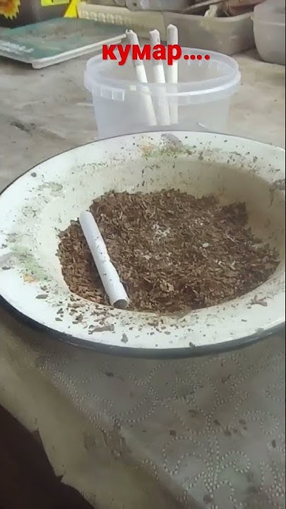 Как экономить на сигаретах/Приколотил папиросу и курнул/ беломор канал ...
