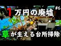 【1万円で廃墟を購入】草が生い茂る台所の片付け 旦那、父と共に|DIY素人夫婦で古民家をリノベーション|♯6