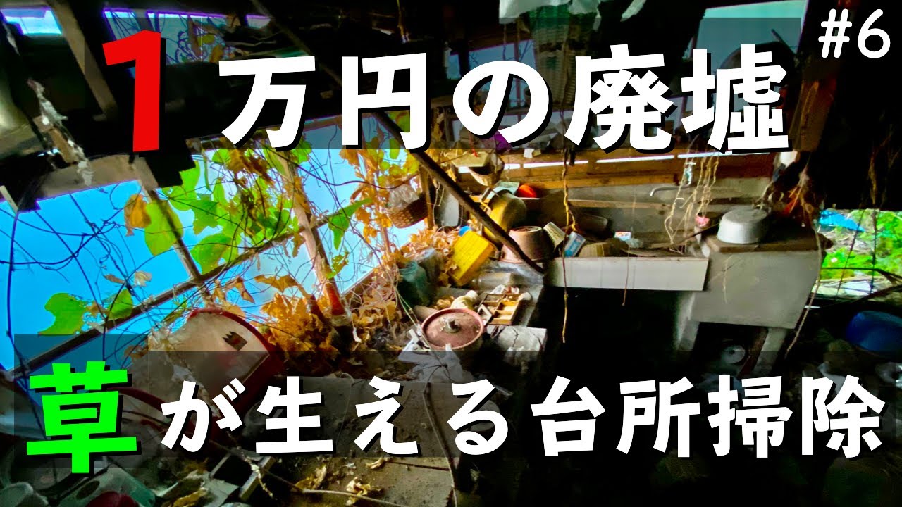 【1万円で廃墟を購入】草が生い茂る台所の片付け 旦那、父と共に|DIY素人夫婦で古民家をリノベーション|♯6