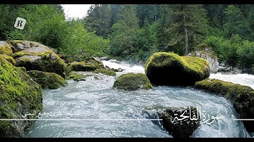 سورة الفاتحة بصوت القاري الشيخ : وديع اليمني