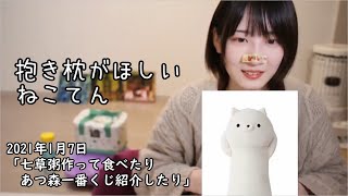 抱き枕がほしいねこてん【切り抜き】