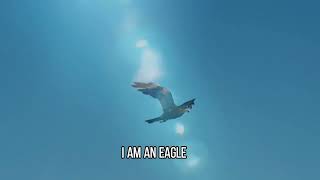 WHERE EAGLES FLY (LYRICS) - PHILIPPINE EAGLE