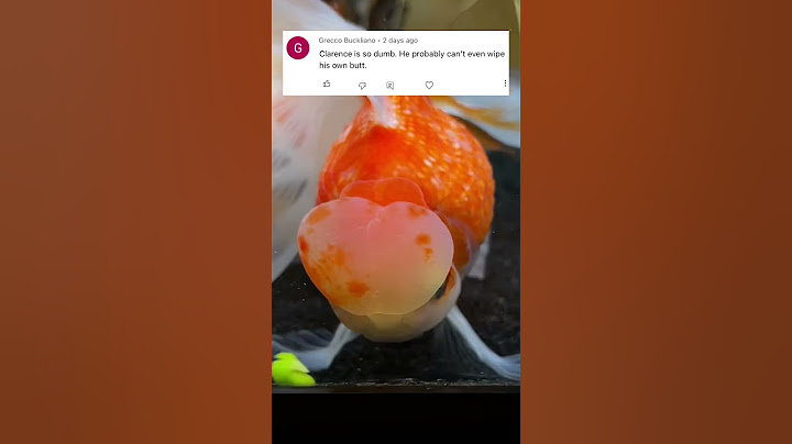 Clarence responds to hate comments