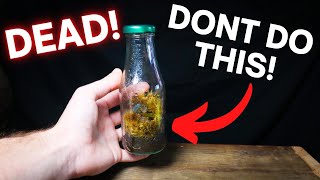 THIS is KILLING Your Terrariums!