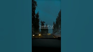 أكتب شئ تأجر عليه| سورة الشعراء الايه 87 _ 99 القارئ ياسر الدوسري  #راحة_نفسية #اكسبلور #duet