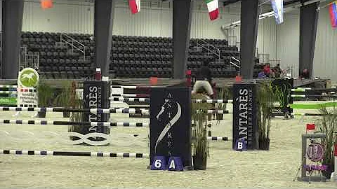 Video of KINSELLA ridden by CHARLOTTE E. CLARK fro...