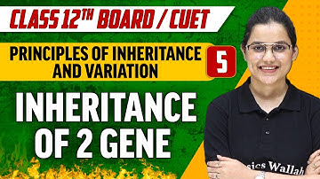 Principles of Inheritance And Variation 05 | Inheritance of 2 Gene | Class 12th/CUET