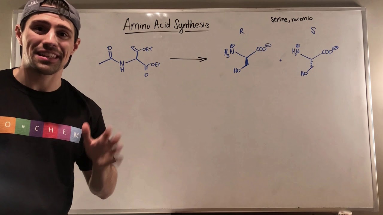 Amino Acid Synthesis by Leverage the Gabriel Synthesis - YouTube