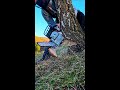 Wood Processing - full video already in my channel #stihl #chainsawman