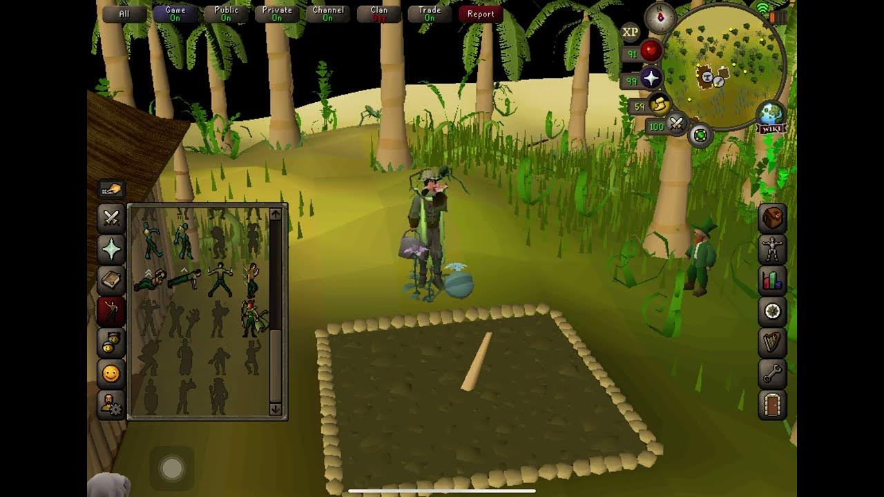 Old School RuneScape Calquat Tree Farming YouTube