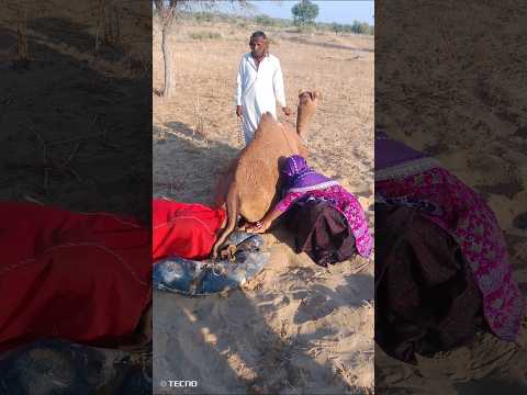 ماذا ت خرج هاتان الفتاتان من تحت الأرض إحداهما أخرجته وهي نائمة