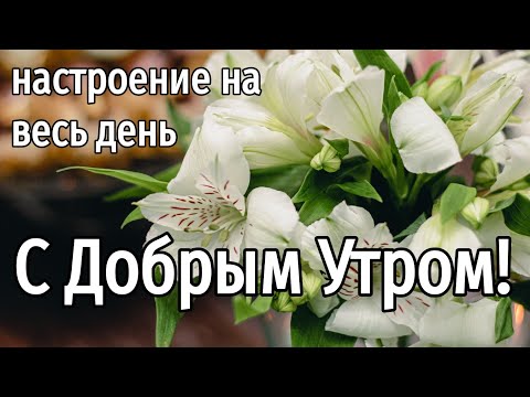 С Добрым утречком и хорошего дня!