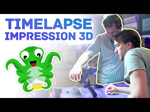 Vidéo: Moniteur d'impression Octoprint : 8 étapes Vidéo: Moniteur d'impression Octoprint : 8 étapes