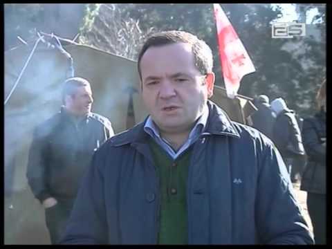 პარალელურად კი, ციხისძირში, ხეების გადარგვის საწინააღმდეგო აქცია გრძელდება