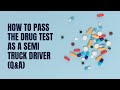 Hair Drug Testing by Quest Diagnostics - YouTube