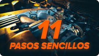 Consejos para el cuidado coches - vídeo en línea