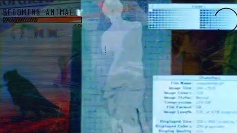 murrumur - corvid tree [VISUALIZER] [2025]