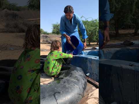 هذه هي الطريقة التي يجلب بها سكان صحراء راجاستان الماء إلى منازلهم
