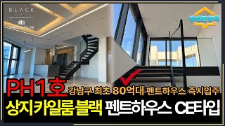 강남구 최초 80억대 펜트하우스 즉시입주🏙상지 카일룸 블랙 펜트하우스🎥생생스케치