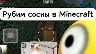 Рубим У Сосны В Minecraft