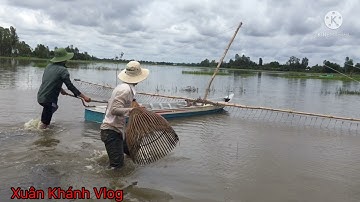 🔶 Đẩy côn bắt cá lóc khủng trong mùa nước nổi ở miền Tây sông nước
